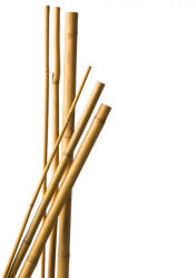 Nature Bambusz növénytámasz 60cm, átm. 6-8mm, natúr 10db/csom /25csom/karton