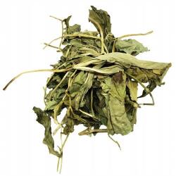 AGREST Vörös lóhere levelek, Agrest, 100% természetes, egykomponensű, DoyPack, 50 g (ART62035)