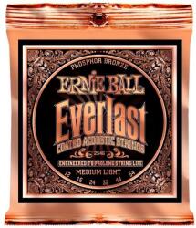 Ernie Ball 2546