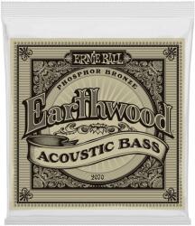 Ernie Ball 2070 Earthwood 045-095