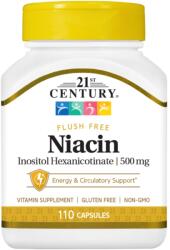 21st Century Niacin Flush Free, 500 mg, 110 capsule, 21st Century
