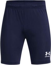Under Armour Core (1375831-410)