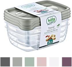 BackHomeLiving Set 3 Recipiente Dreptunghiulare Trend Box 2L 8885 (HOB021017)