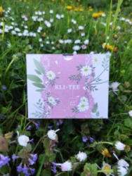  OLAD HERBA Kli-Tee filteres tea 24 db (0010015893)