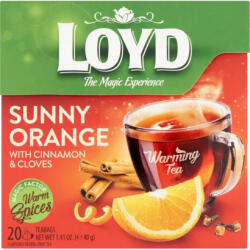 LOYD Hot tea Narancs -Fahéj 20*2g