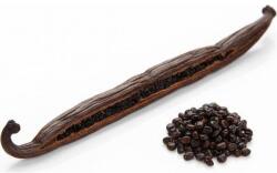 Vanilla Ocean Vanília whiskyszár - Bourbon - Gourmet 1 db / Grade A (16 cm +) - Vanilla Ocean (9050010)