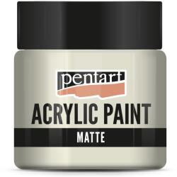 Pentart Matt akrilfesték 50 ml esőfelhő (PA-1902)