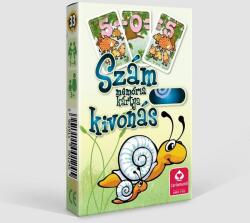 Cartamundi Kivonás Oktató Memória Kártya (C11001245)