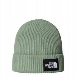 The North Face Sapka Salty Lined NF0A8CGZBQ1 R Univerzális (NF0A8CGZBQ11)