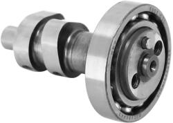 Piaggio (oem) PIAGGIO SP1A020424 vezérműtengely csapágyazással (HE VESP) PIAGGIO (OEM) Motor alkatrészek Vezérműtengelyek