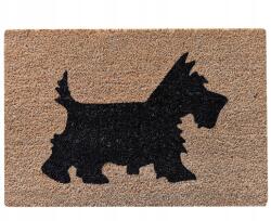 Kontrast Lábtörlő kókusz ajtóhoz Tucan 40x60 wz08 (Wyc. TUCAN 40x60 wz08)