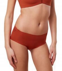 Triumph Női Bugyi Triumph Flex Smart Maxi Ex 7009 S (102131457009-1235)