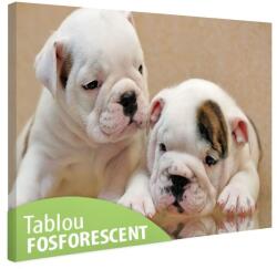  Tablou canvas fosforescent Bulldog Puppies, 52x90 cm, RESIGILAT (ABB1322RES)