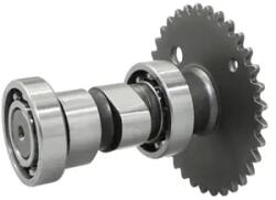 P2R (Motorisé) P2R vezérműtengely kínai robogóhoz 50cc 4 ütemű (GY6, 139QMB), Kymco 50 Agility 4 ütemű, Peugeot 50 V-Clic 4 ütemű, Baotian 50 BT49QT 4 ütemű (motor 139QMB) P2R (Motorisé) Motor alkatrészek Vezérműten