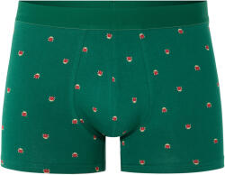 Celio Боксерки Nibococino Celio | Zelen | МЪЖЕ | S