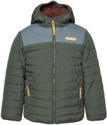 Iguana Gyerek steppelt kabát Janko Kdb 110 (5902786570850)