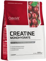 OstroVit Creatine Monohydrate Flavor, 300 Grams