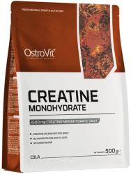 OstroVit Creatine Monohydrate Flavor, 500 Grams