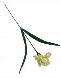 Wera Írisz műág 65 cm krémszínű művirág (KP-LZ014#3)