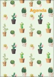 Dayliner Naptár, tervező, A5, heti, DAYLINER, "Colors", Cactus (NCA5HCAU) - officepantry