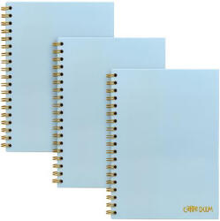 Pukka Pad Spirálfüzet, B5, vonalas, 80 lap, FSC "Carpe Diem", égszínkék