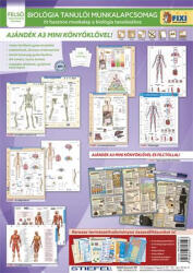 STIEFEL Tanulói munkalap csomag, 5 munkalap, 1 alátét, filc "Biológia
