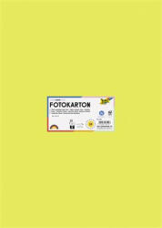 FOLIA Dekorkarton, 2 oldalas, 50x70 cm, 300 g, 10 lap, lime (FL6149)