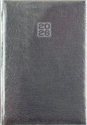 Dayliner Naptár, tervező, B6, heti, "Mirror", ezüst