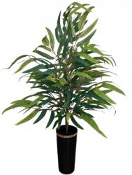 RAV Művirág cserépben Palma bambusz Magasság 100 cm cserepes virág (RAVkwiaty)