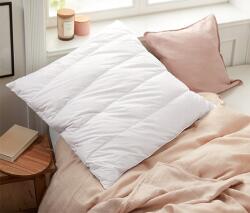 Tchibo Allergia-barát tollpárna fenyőfa hozzáadásával, kb. 80 x 80 cm (618352)