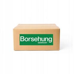 Borsehung B16299 Vezérműlánc készlet