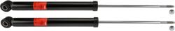 TRW amortizor TRW TWIN JGT256T (JGT256T)