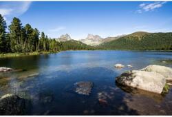 MÉDIA Natura81 öntapadós tapéta, 250 x 200 cm (FOTOTAP14661)