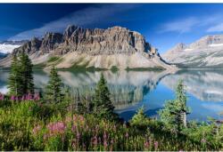 MÉDIA Öntapadó és mosható fali tapéta Natura43, 350 x 250 cm (FOTOTAP6977)