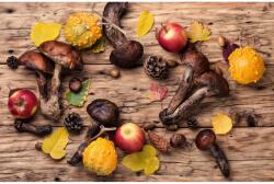 MÉDIA Öntapadó és lemosható fali tapéta Összetétel 18, 250 x 200 cm (FOTOTAP9644)