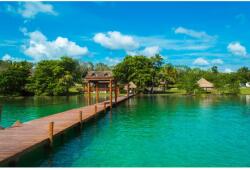 MÉDIA Natura29 öntapadós és mosható fali tapéta, 250 x 150 cm (FOTOTAP7033)