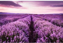 MÉDIA Lavender7 öntapadós és mosható fali tapéta, 350 x 250 cm (FOTOTAP6918)