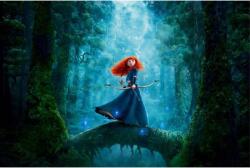 MÉDIA Öntapadó és mosható falfestmény Princess Merida 2, 250 x 150 cm (FOTOTAP5049)