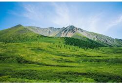 MÉDIA Öntapadó és mosható fali tapéta Natura108, 250 x 150 cm (FOTOTAP7635)