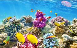 MÉDIA Öntapadó és mosható falfestmény Víz alatti világ 4, 300 x 200 cm (FOTOTAP4681)