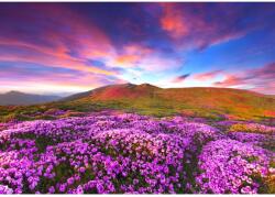 MÉDIA Öntapadó és mosható falfestmény Rhododendron virágok a naplementében, 400 x 250 cm (FOTOTAP8435)