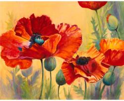 MÉDIA Öntapadós tapéta Pipacsok, 250 x 200 cm (FOTOTAP14562)