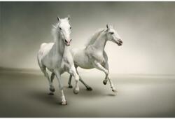 MÉDIA Matricás tapéta Fehér lovak vágtatva, 350 x 200 cm (FOTOTAP10791)