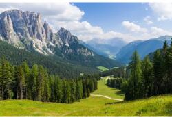 MÉDIA Natura46 öntapadós és mosható fali tapéta, 250 x 150 cm (FOTOTAP7060)