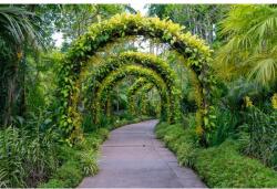 MÉDIA Öntapadó és mosható falfestmény Padure62 virágívekkel, 250 x 200 cm (FOTOTAP9138)