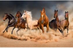 MÉDIA Öntapadó és mosható falfestmény Lovak a homokviharban, 350 x 250 cm (FOTOTAP8123)