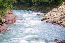 Blueback MAT Natura89 tapéta, 300 x 250 cm (BBIMG1478)