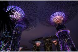 Blueback MAT Tapéta Park Singapore 2, 300 x 250 cm (BBIMG3223)