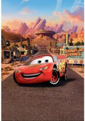 MÉDIA Cars 3 öntapadós és mosható fali tapéta, 250 x 200 cm (FOTOTAP9603)