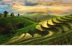 Blueback MAT Natura87 tapéta, 300 x 250 cm (BBIMG1471)